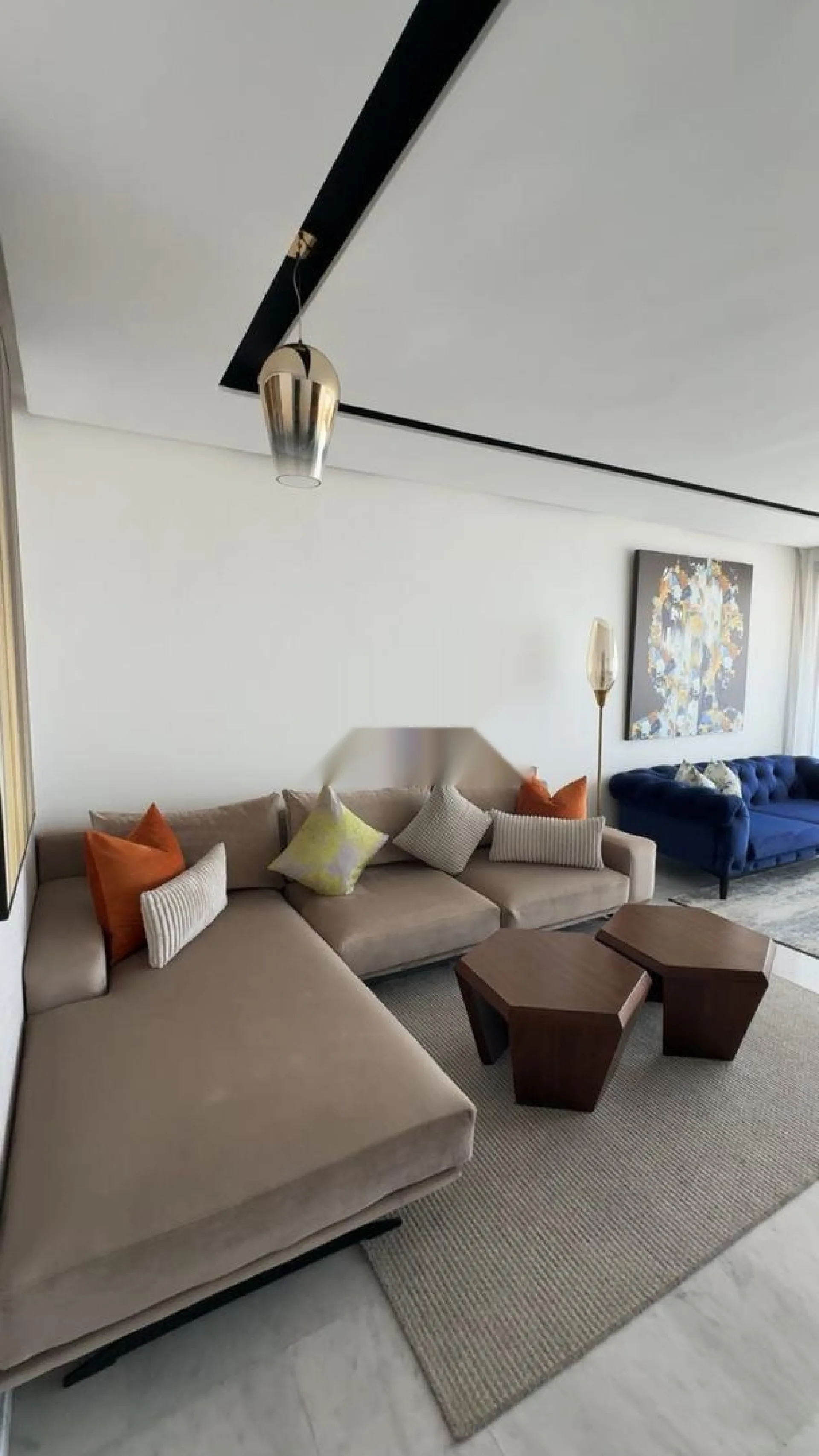 Magnifique appartement meublé en location