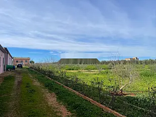 Belle ferme 4 hectares près de meknes