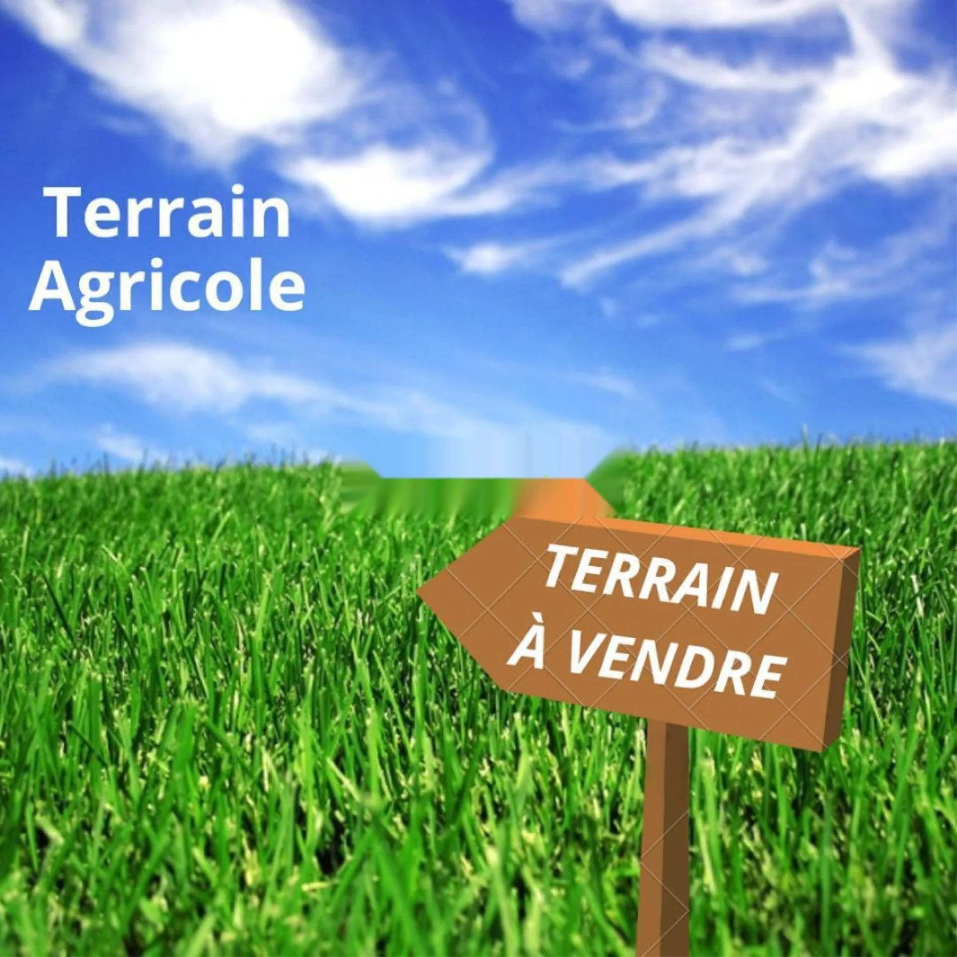 Vente Terrain agricole de 245000 m2