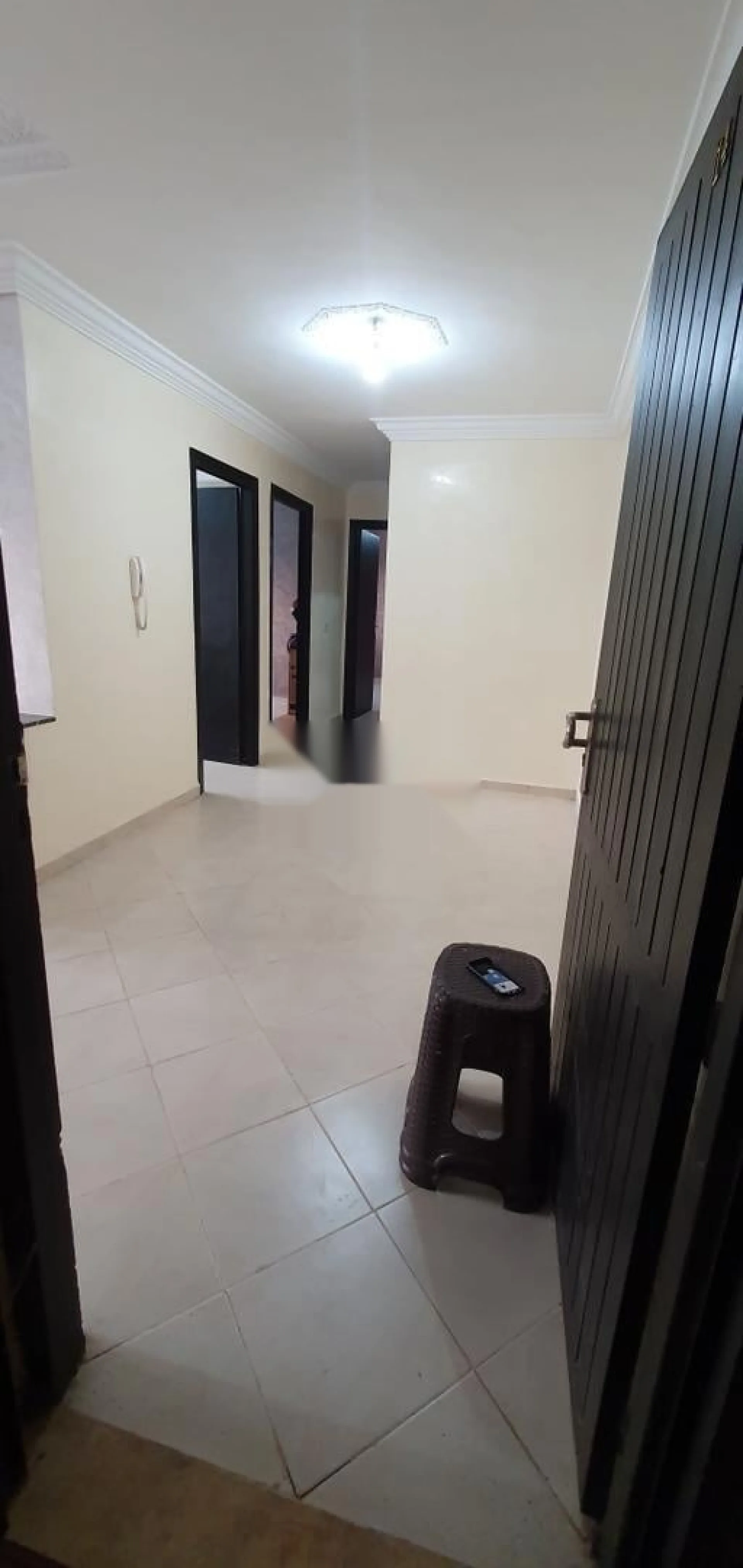 appartement 65m2