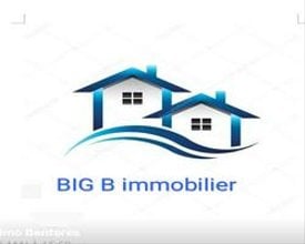 BIG B immobilier