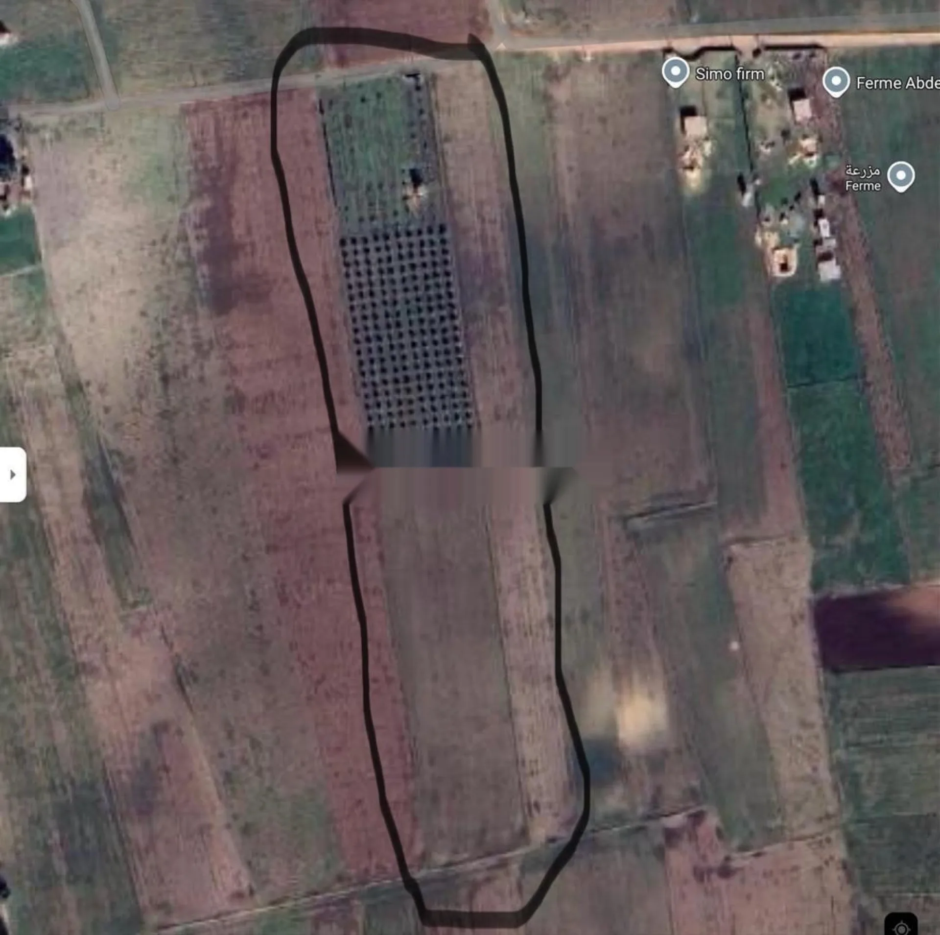 Prix Intéressant - Terrain Agricole à Berrechid