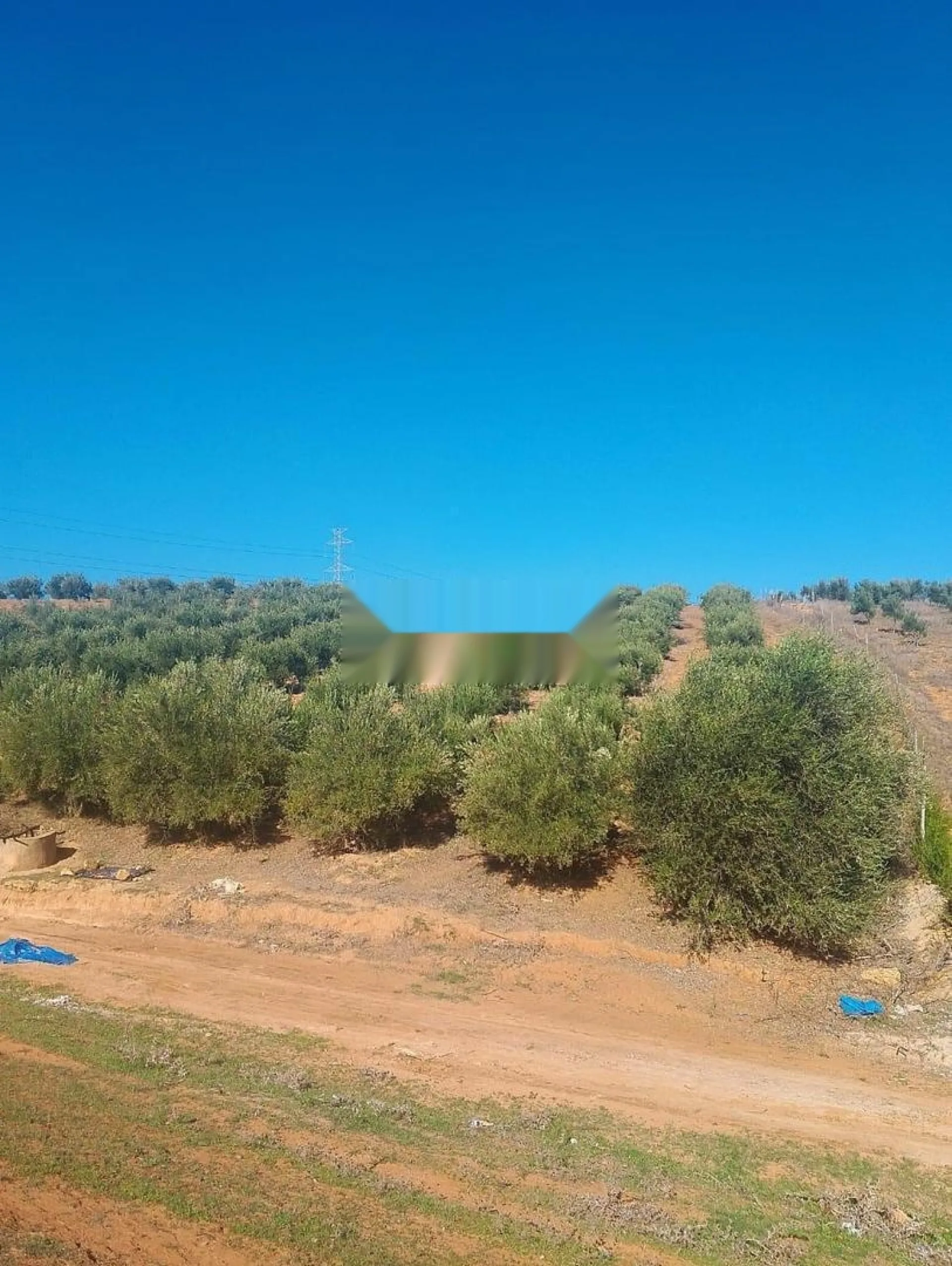 Terrain 6500m², puits et oliviers, 9km Tiflet