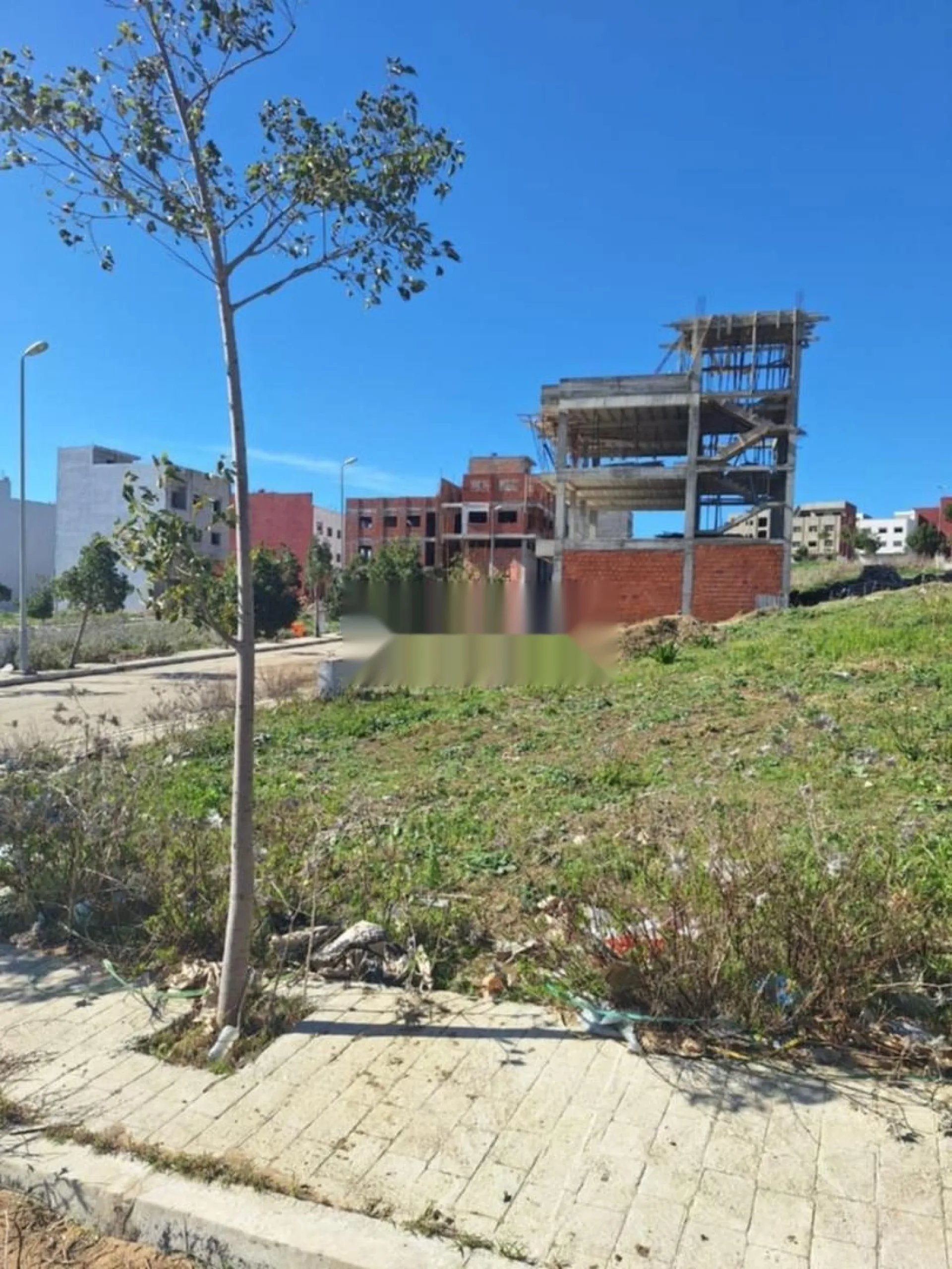 Terrains à vendre dans l'expérience Al-Yamama Zamouri près de la gare routière