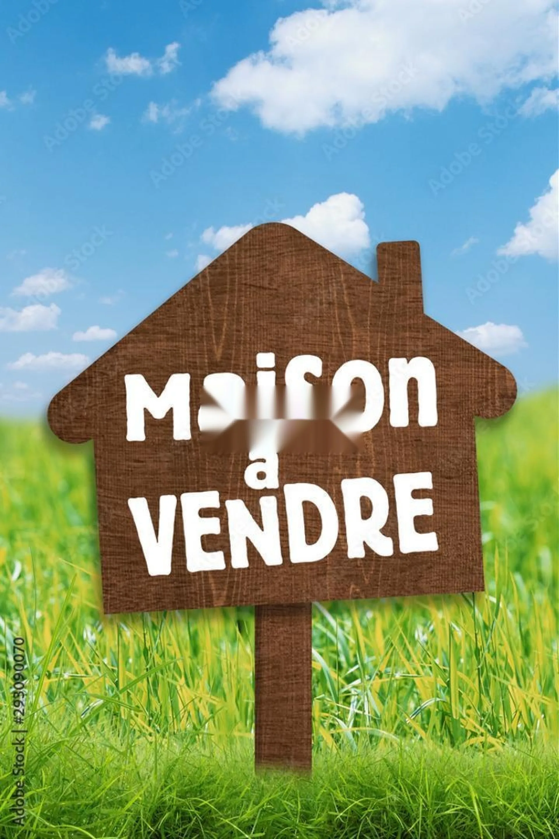 Villa moderne à vendre