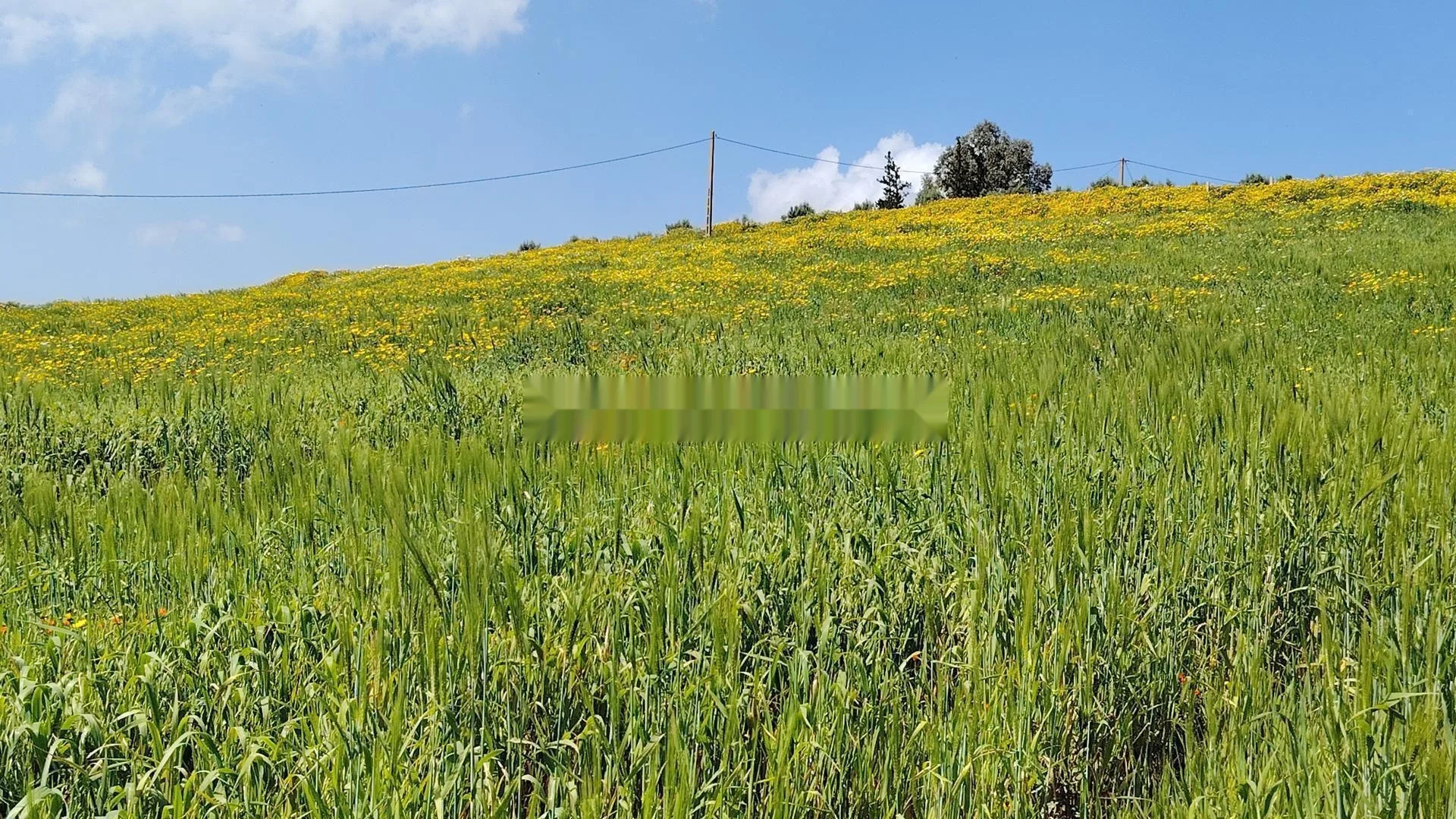 Terrains et fermes agricoles titrés