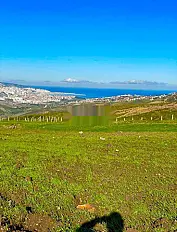 Ain Mechlaoua