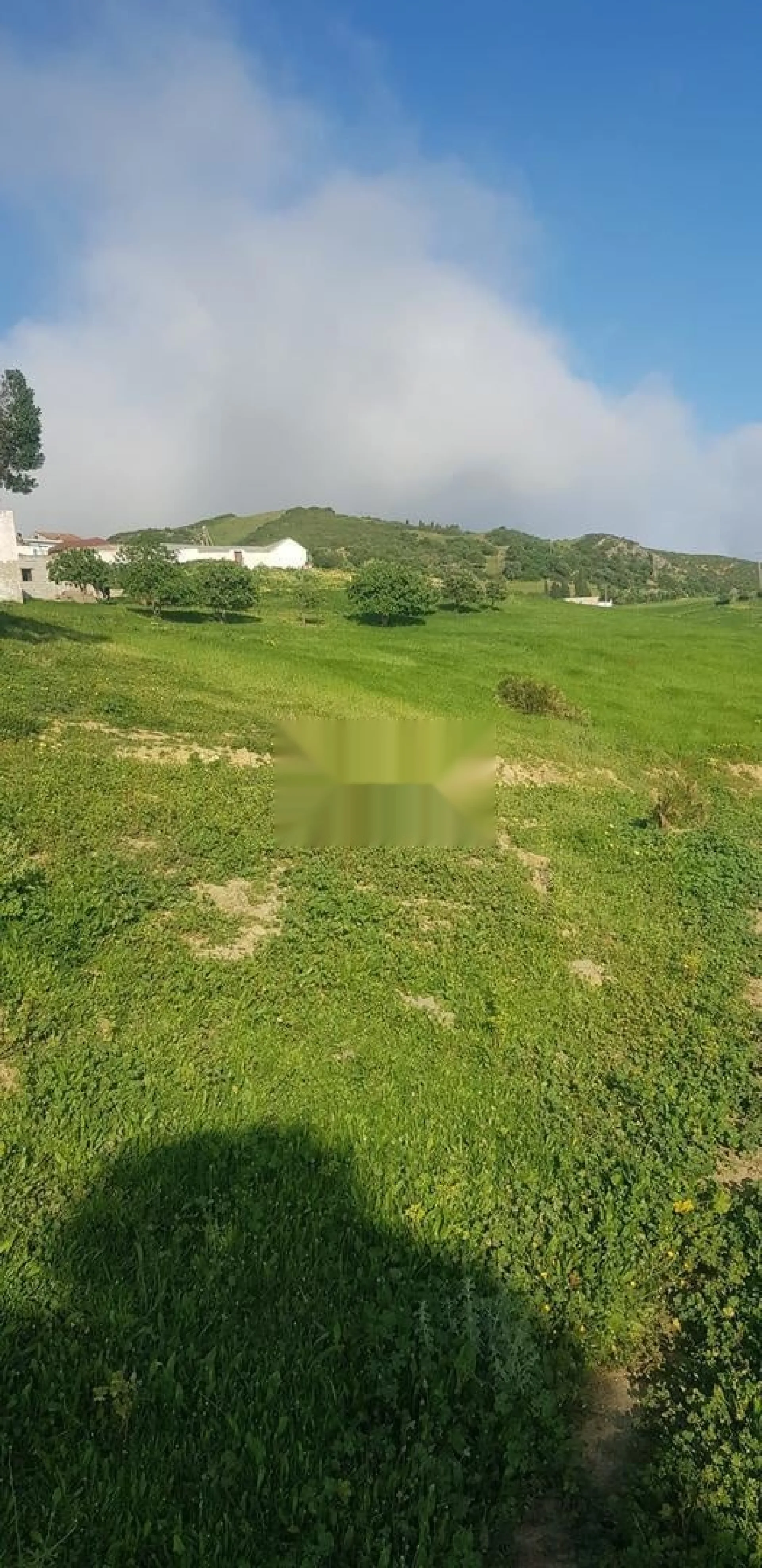 Terrain titré à vendre Tétouan