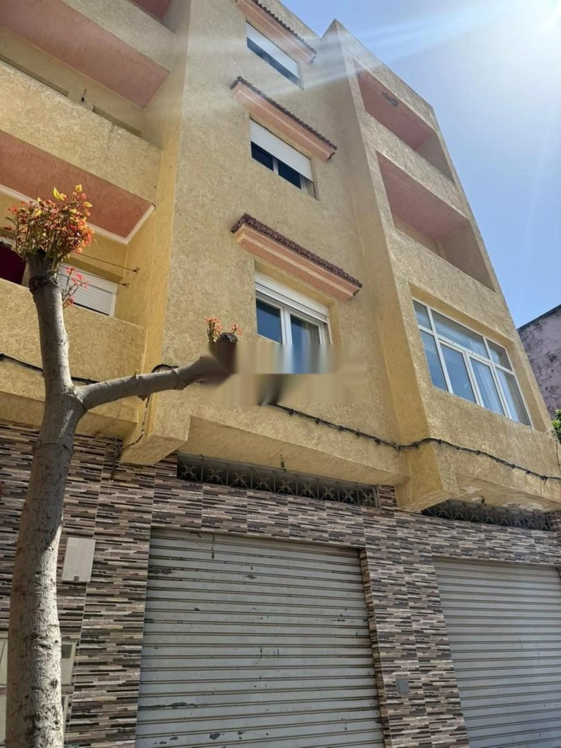 Grande maison avec