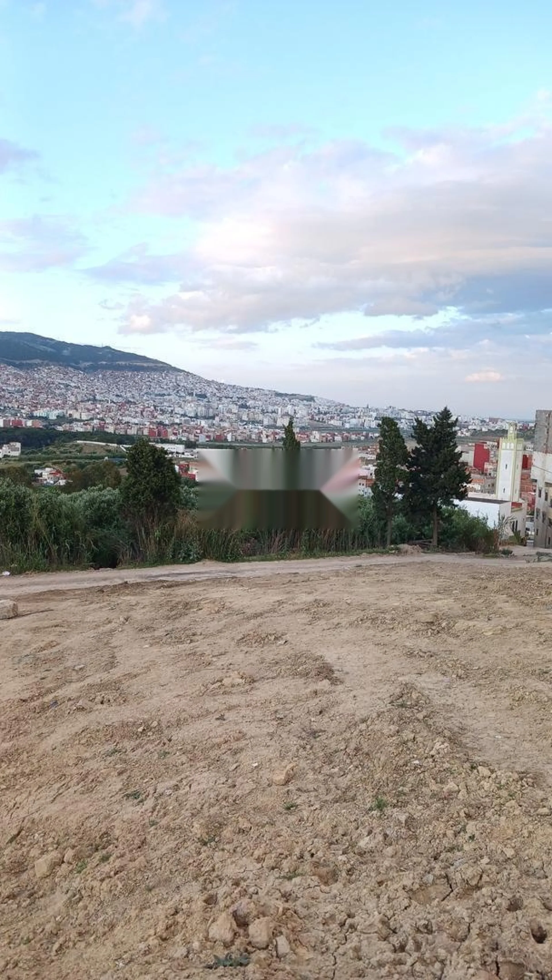 TERRAIN MOULKIYA