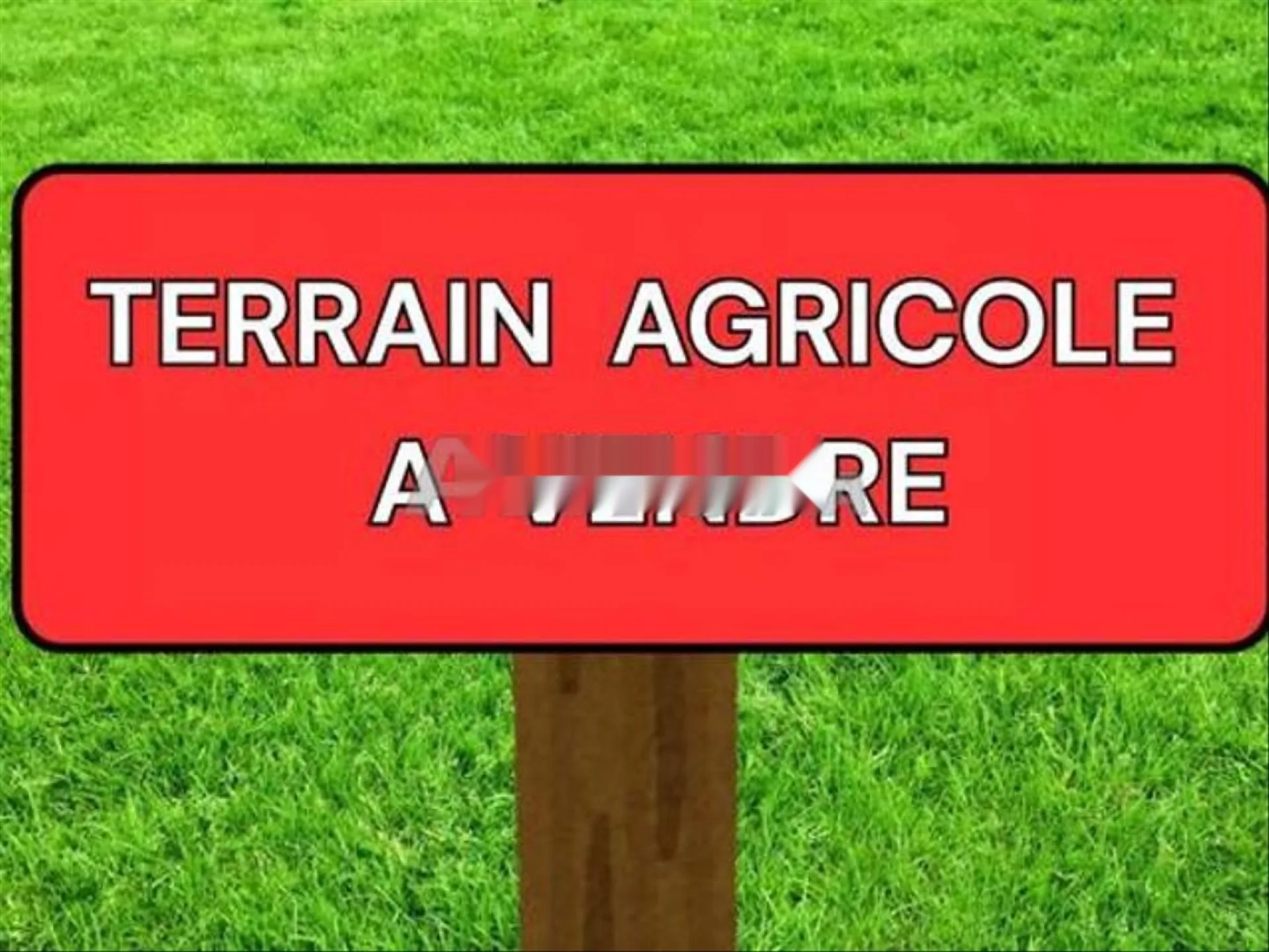 74 HECTARES A VENDRE