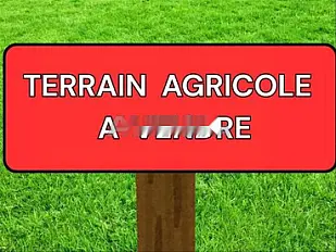 74 HECTARES A VENDRE