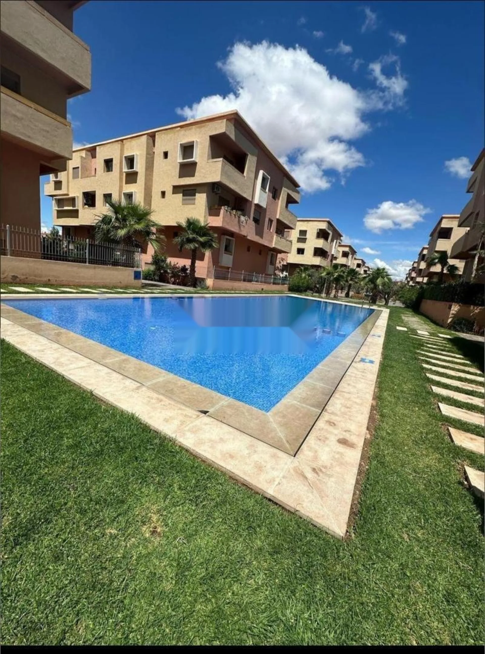 شجرة النخيل في تارغا فاخرة