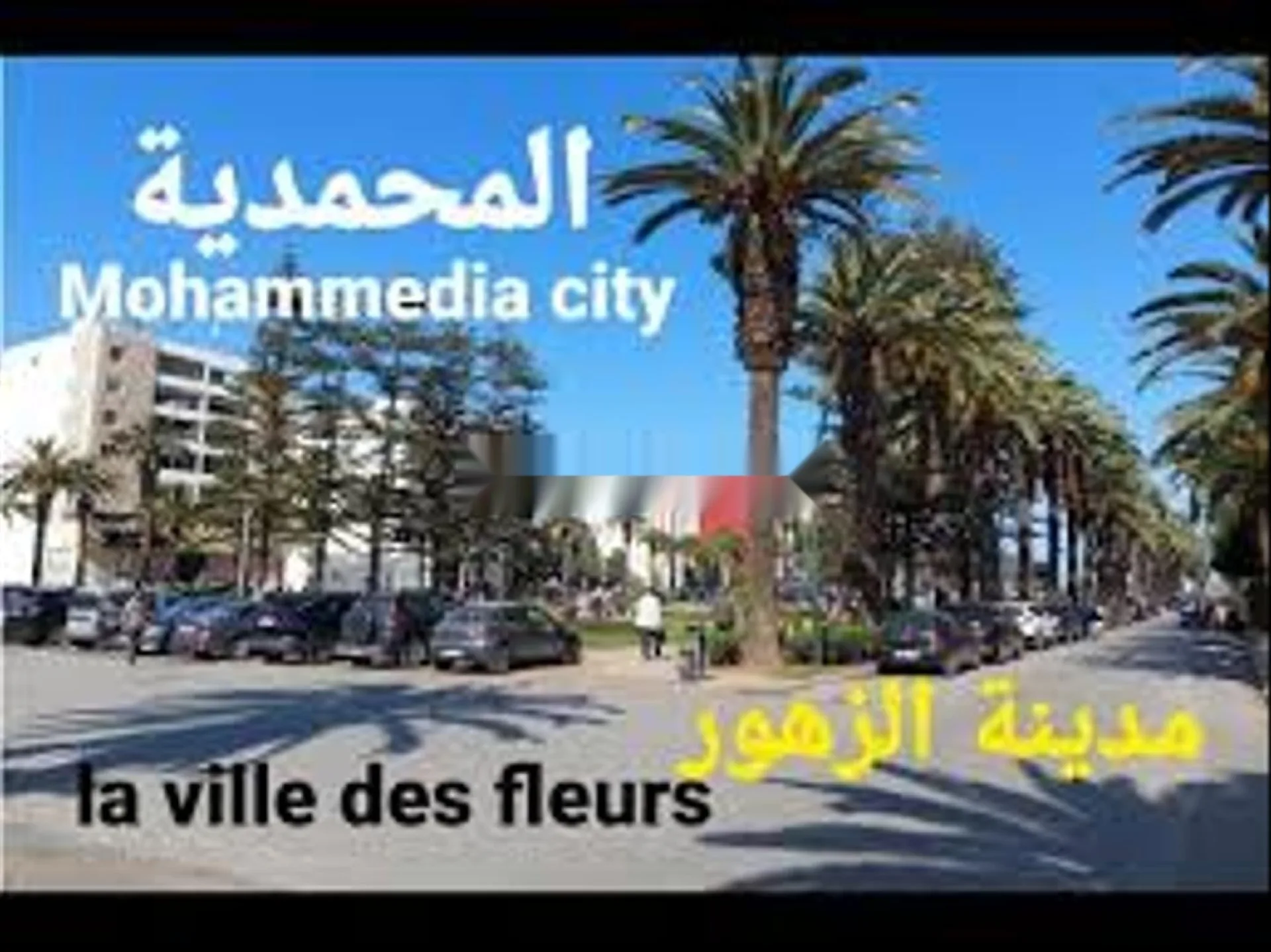 Super appart 92m2 ensoleillé sur parc