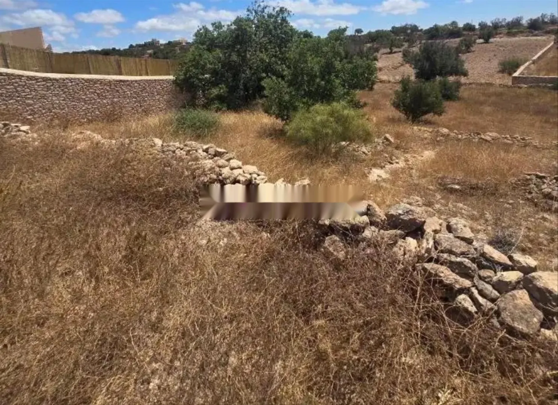 أرض تيتير للبيع