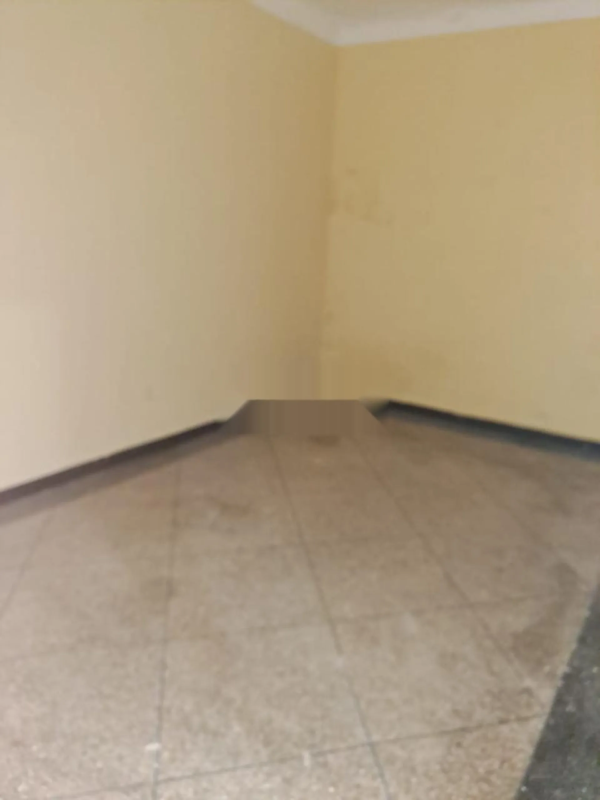 Agent immobilier