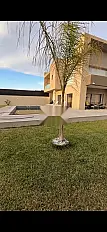 Villa avec piscine Amanda