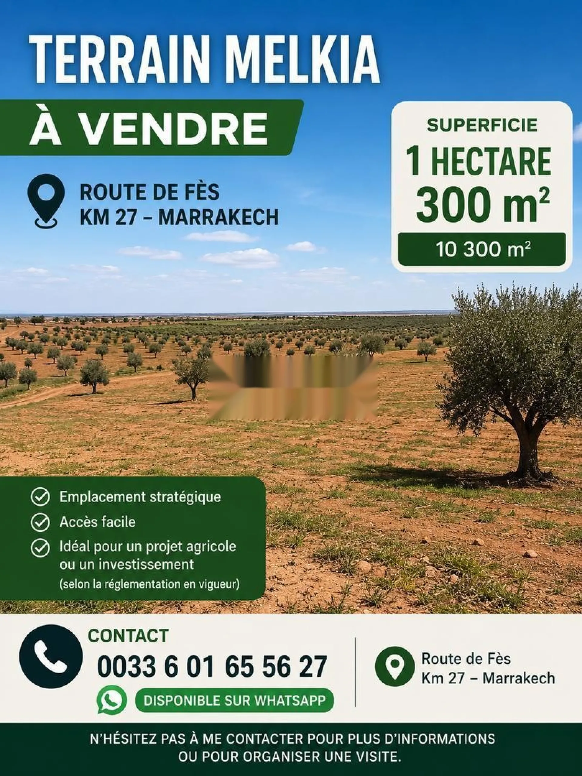 Terrain à vendre