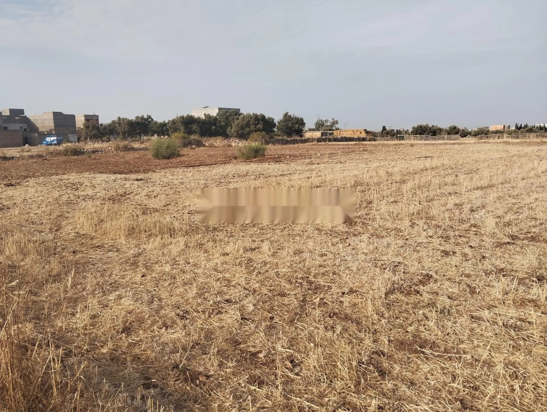 Terrain agricole dans la zone urbaine de Safi, quartier Rouamcha