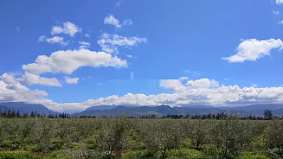 Terrain pour villa campagne région Marrakech
