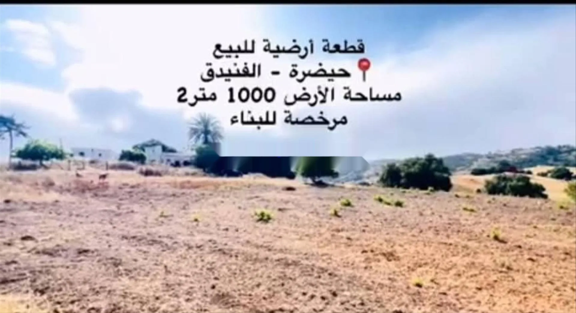 أرض للبيع 1000 متر مربع قابلة للبناء في حيدرة، الفنيدق