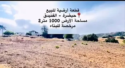 أرض للبيع 1000 متر مربع قابلة للبناء في حيدرة، الفنيدق