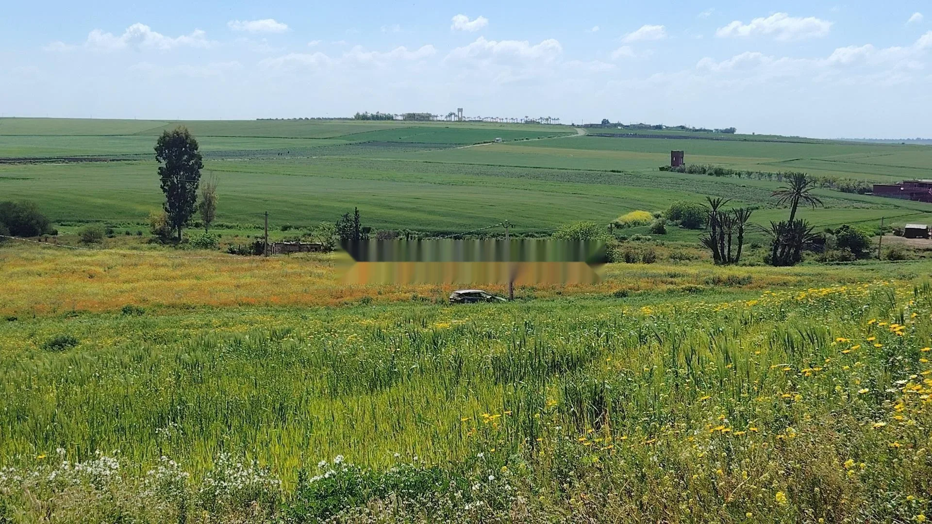 Vente de terrains titrés - Bir Jdid