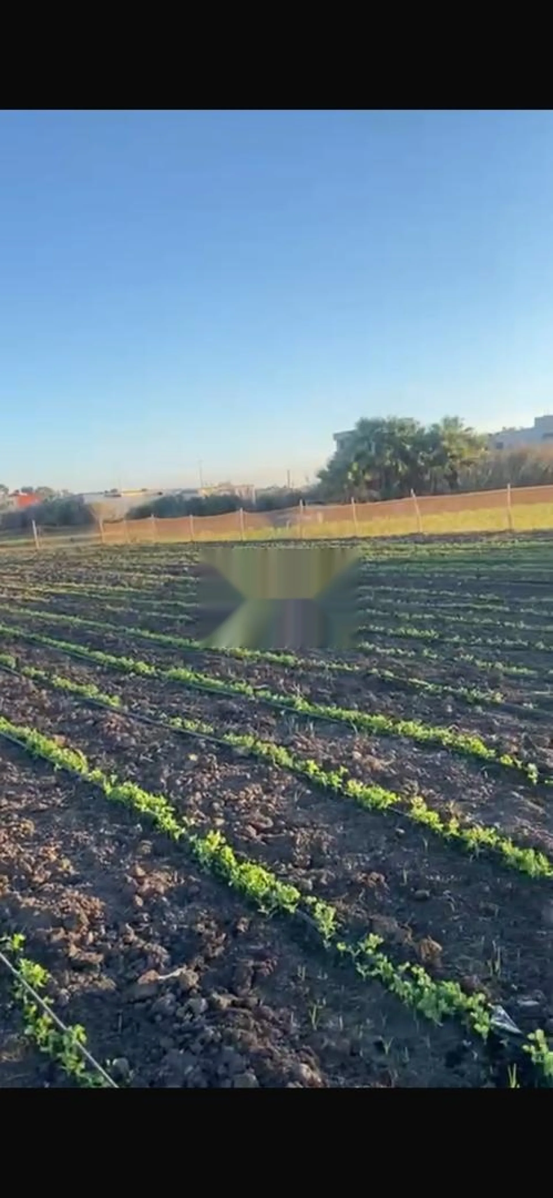 أرض بمساحة 3 000 متر مربع للبيع في الصخيرات