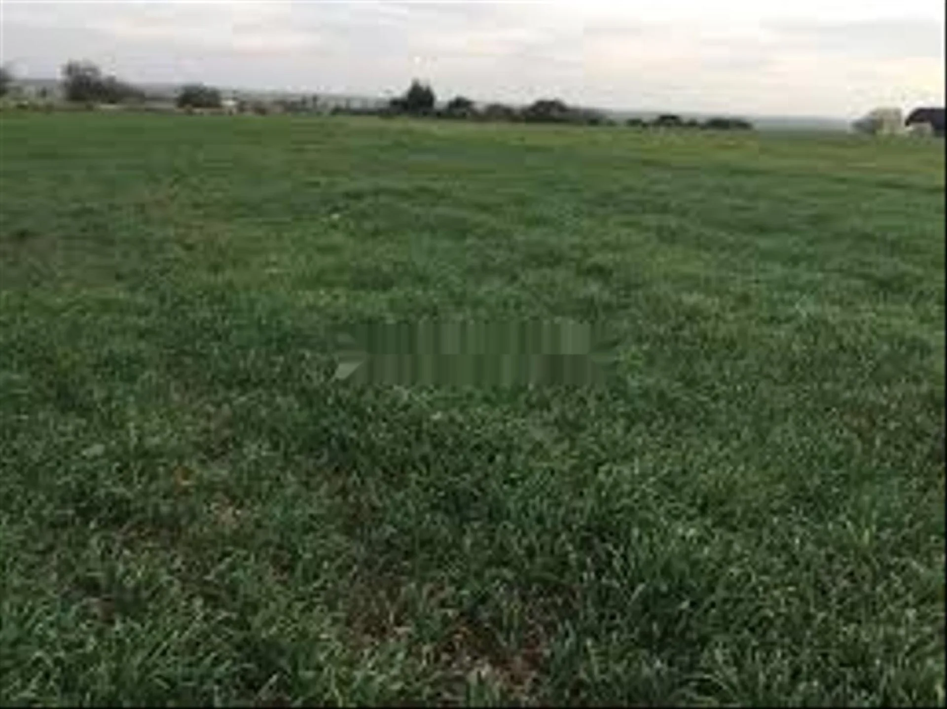 أراضي ومزارع فلاحية بحوزة عقود رسمية - بئر الجديد