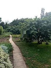 Terrain