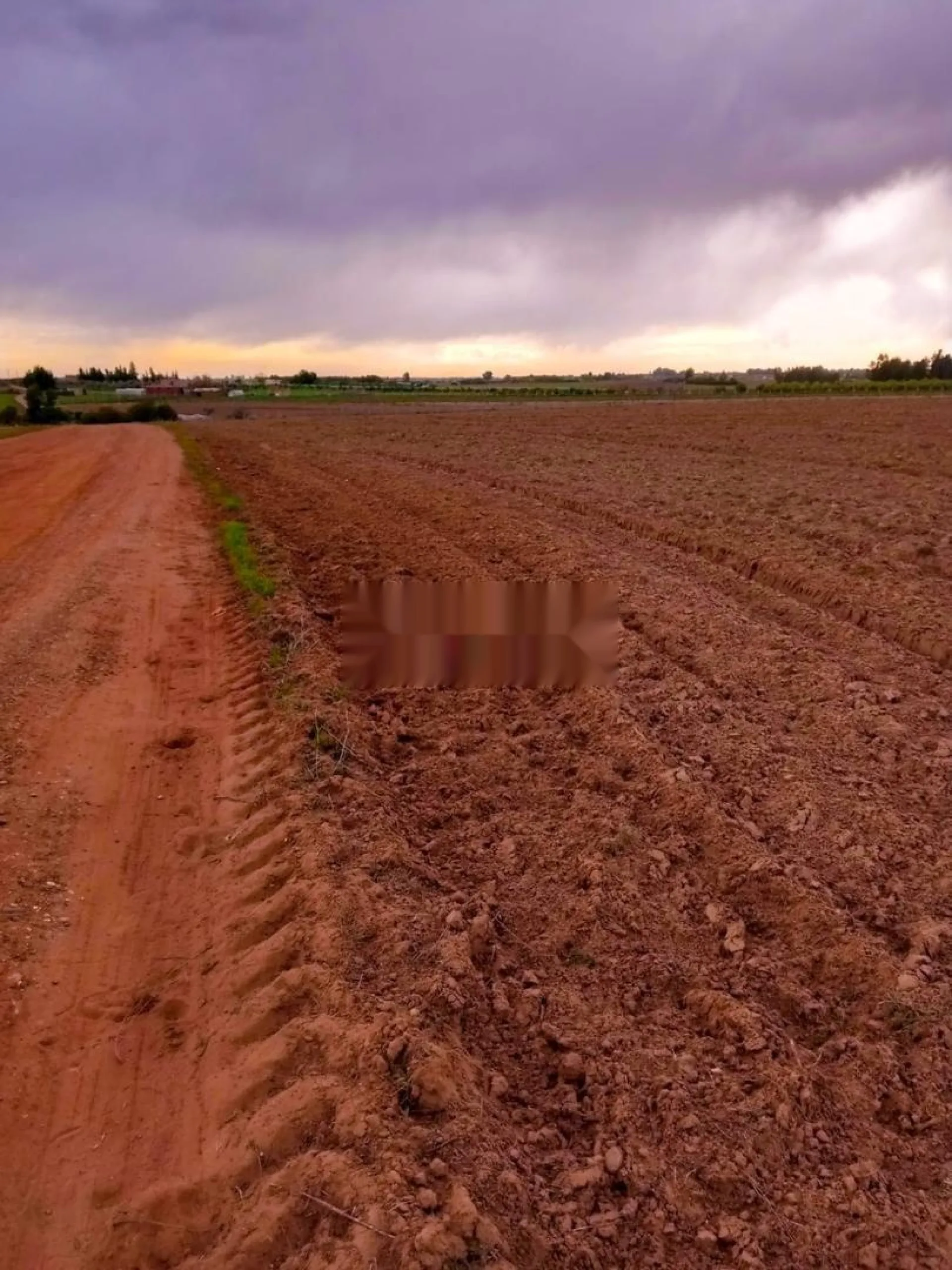 Terrain agricole à Sidi Omar Lekhrazna