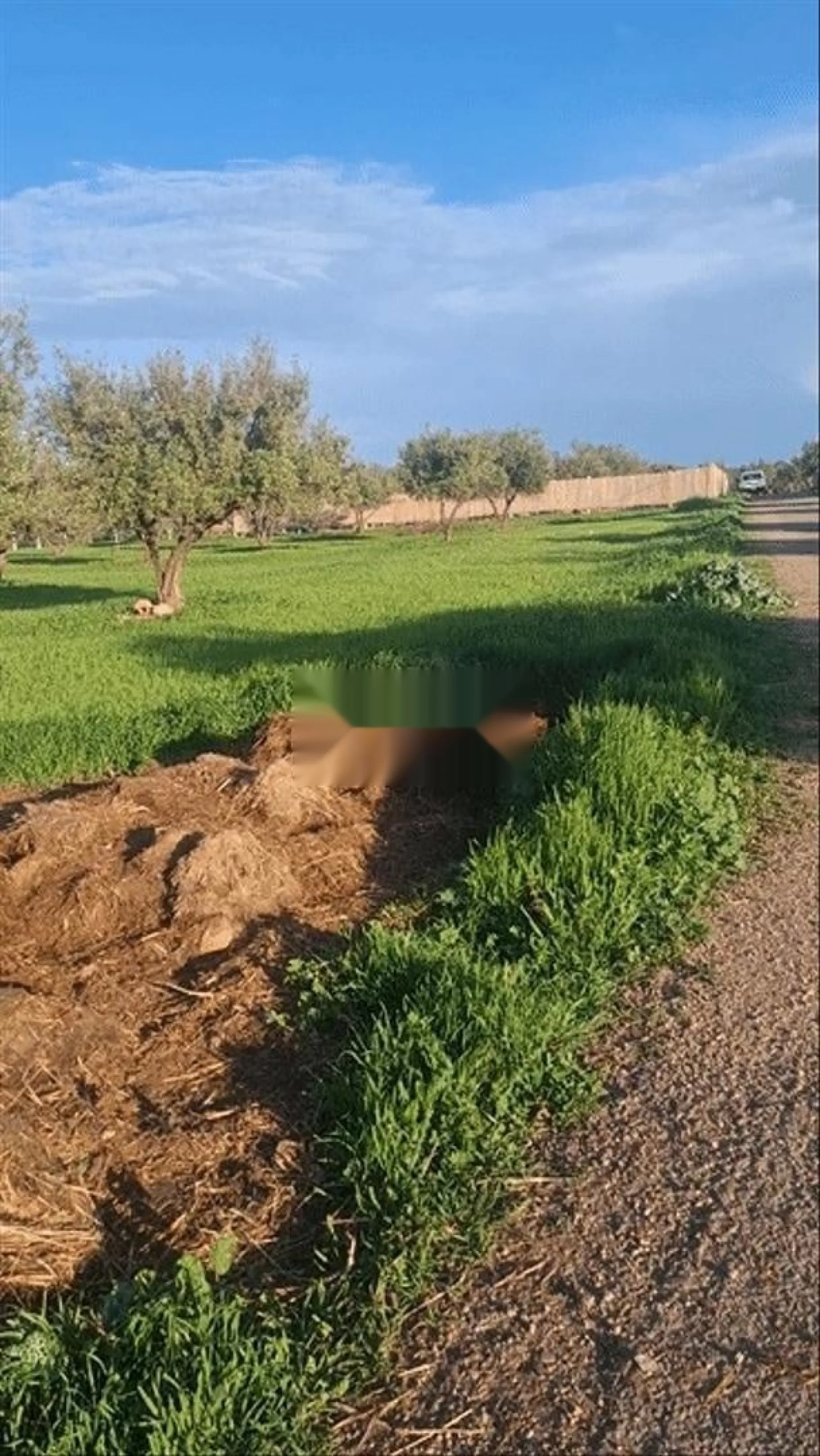 Terrain Agricole à Vendre أرض فلاحية للبيع