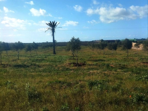 A vendre à 17 kms d'El Jadida une jolie ferme clôturée