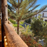 🌟 À VENDRE – HARHOURA SIDI ABED 🌟**