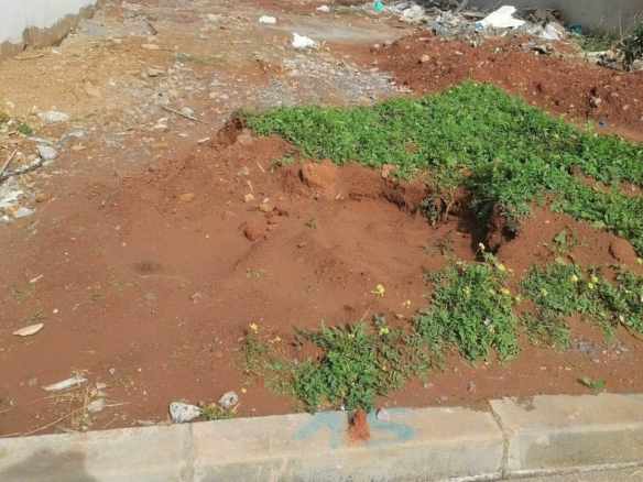 À VENDRE – Terrain exceptionnel à Harhoura – 207 m² – Orientation Sud