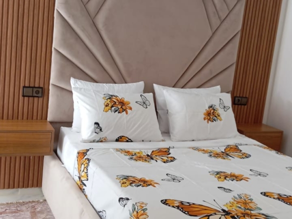 Appartement climatisé propre et chic