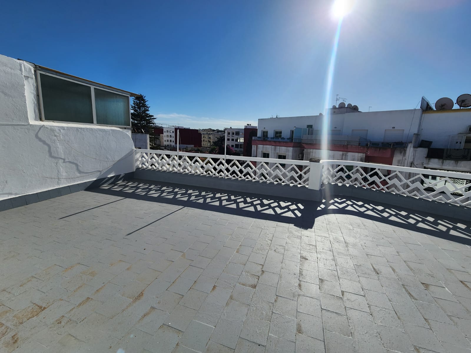 WhatsApp Image 2025-02-10 at 14.56.36