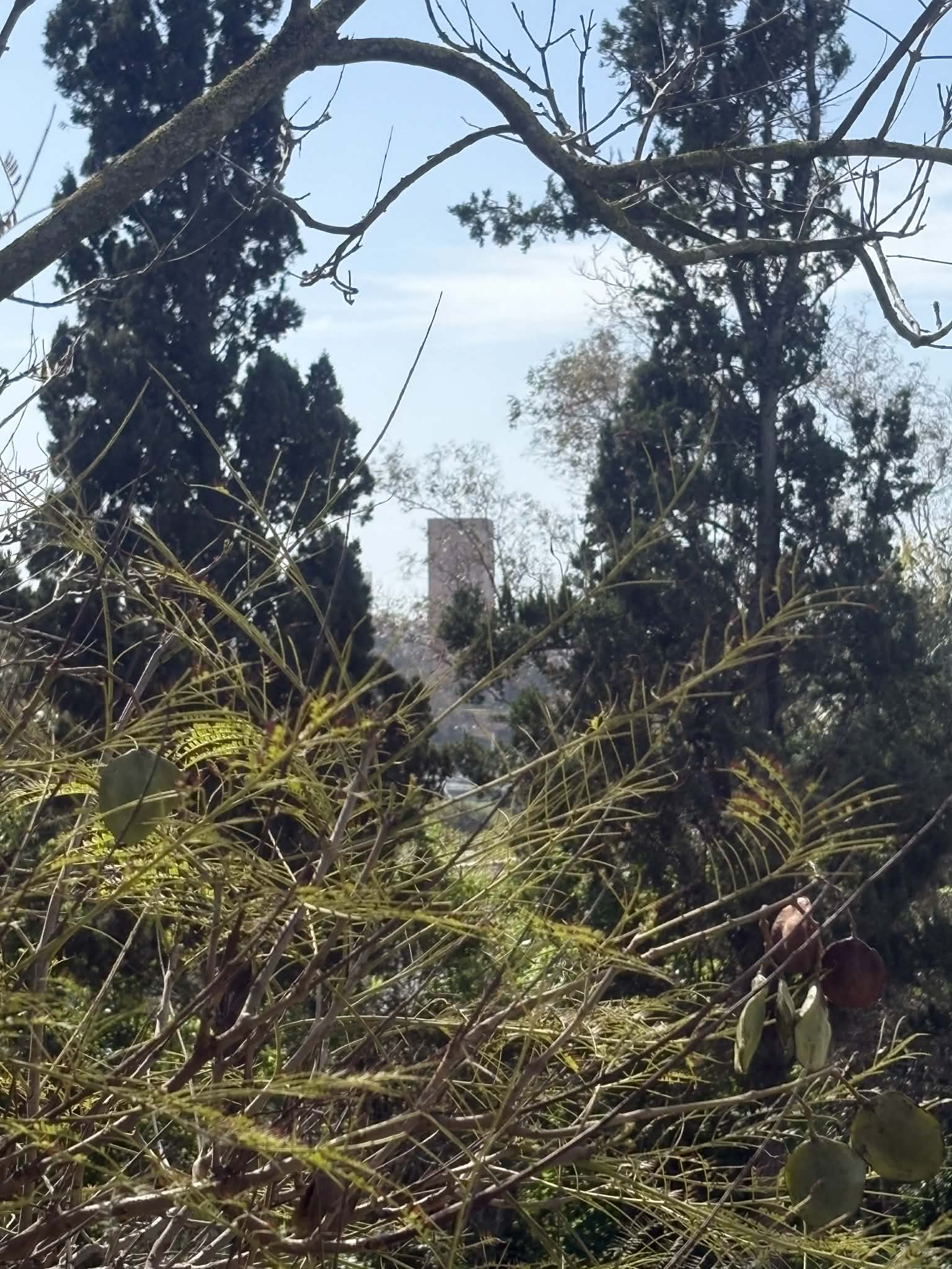 2cc52223-47c0-470c-8ba0-360168d2f336