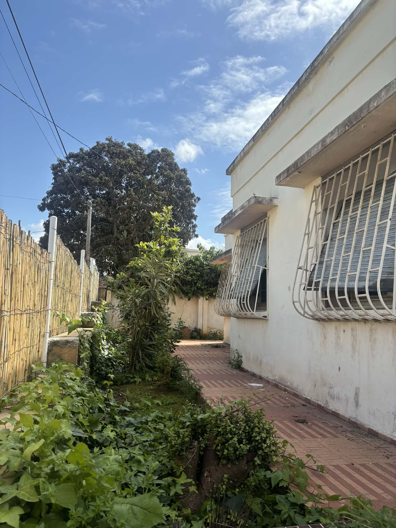 3343c4e0-6c48-4c0b-937f-44e523435d42