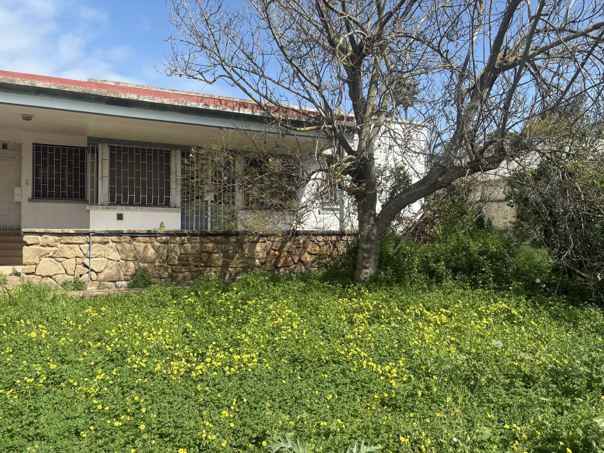 50a1f93c-8df4-42bc-8aa0-185da5a13168