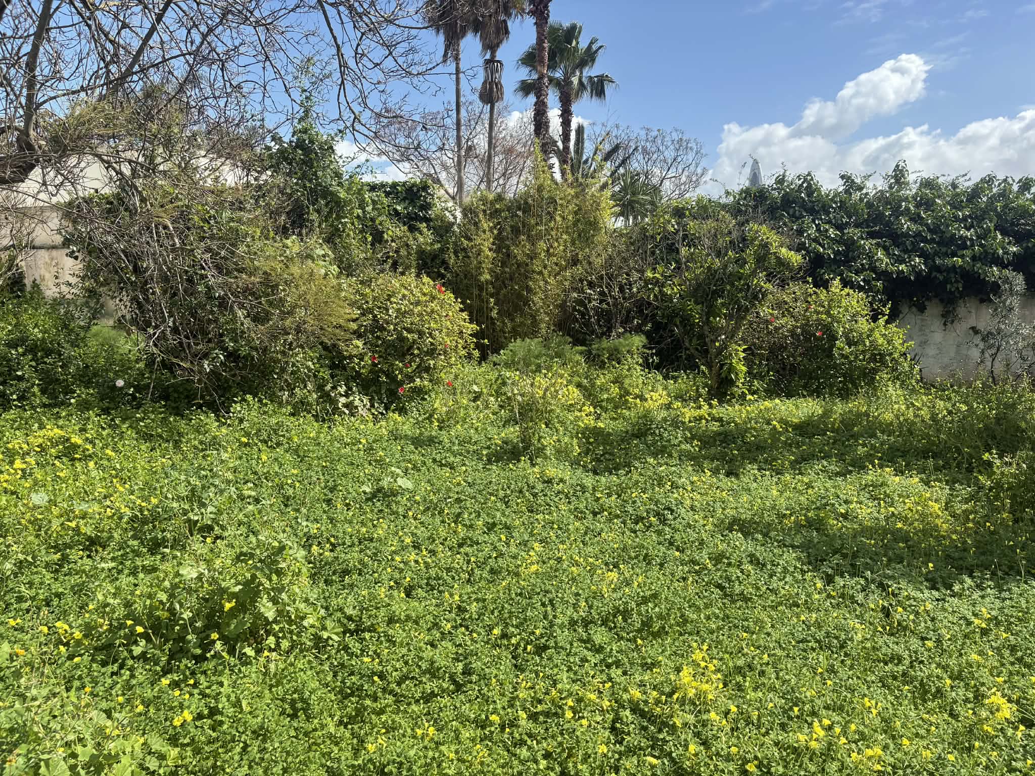 5c6a320e-4513-4c76-abf4-863170438186