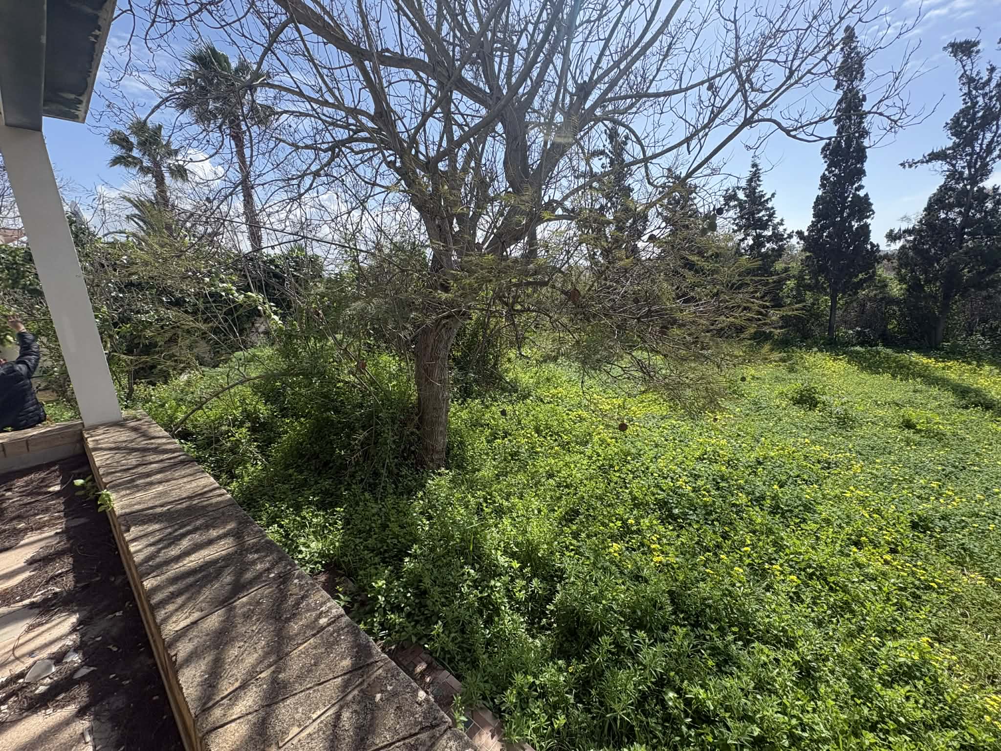 64897e06-2942-43f0-b973-f938621a3b77