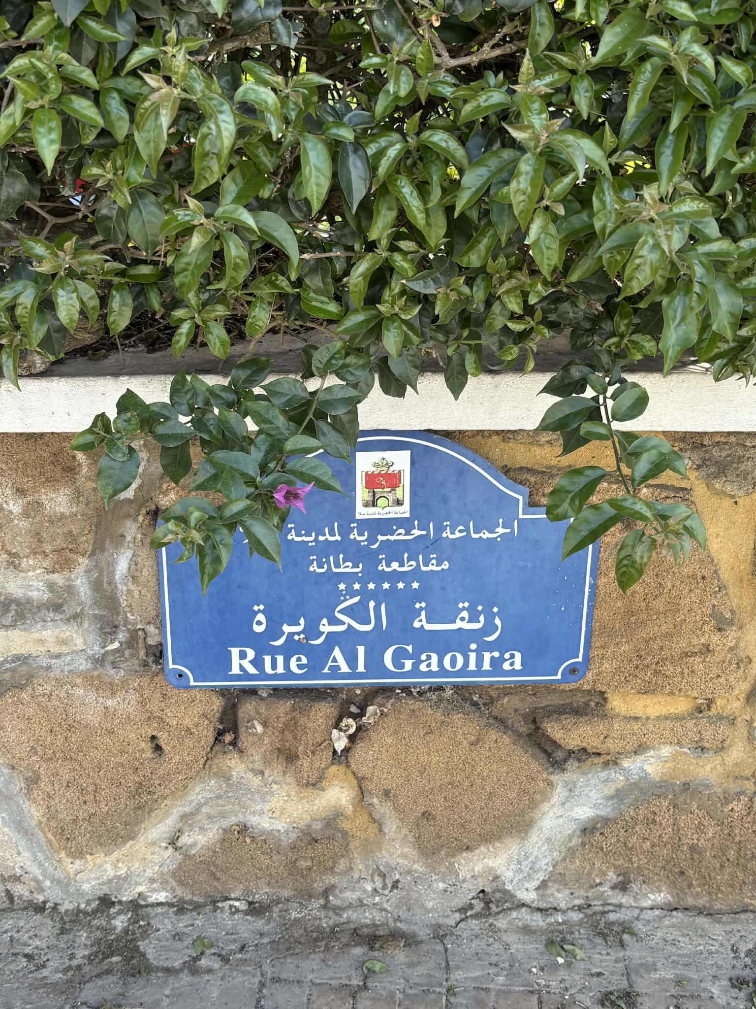 653d2500-4057-401b-ae55-8c674609cf16