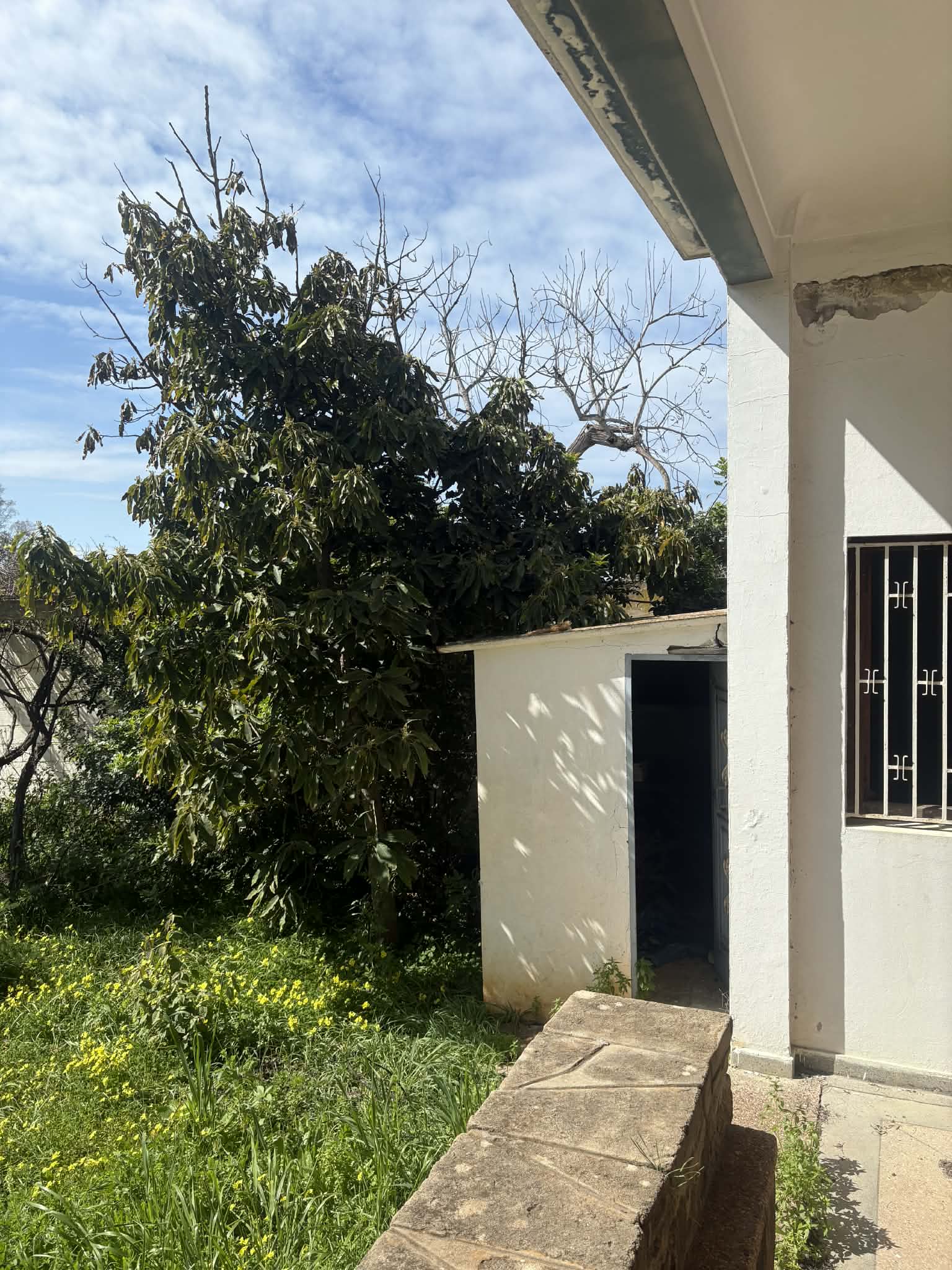 7c98178f-57dc-4fe0-af1d-11b071d0a01e