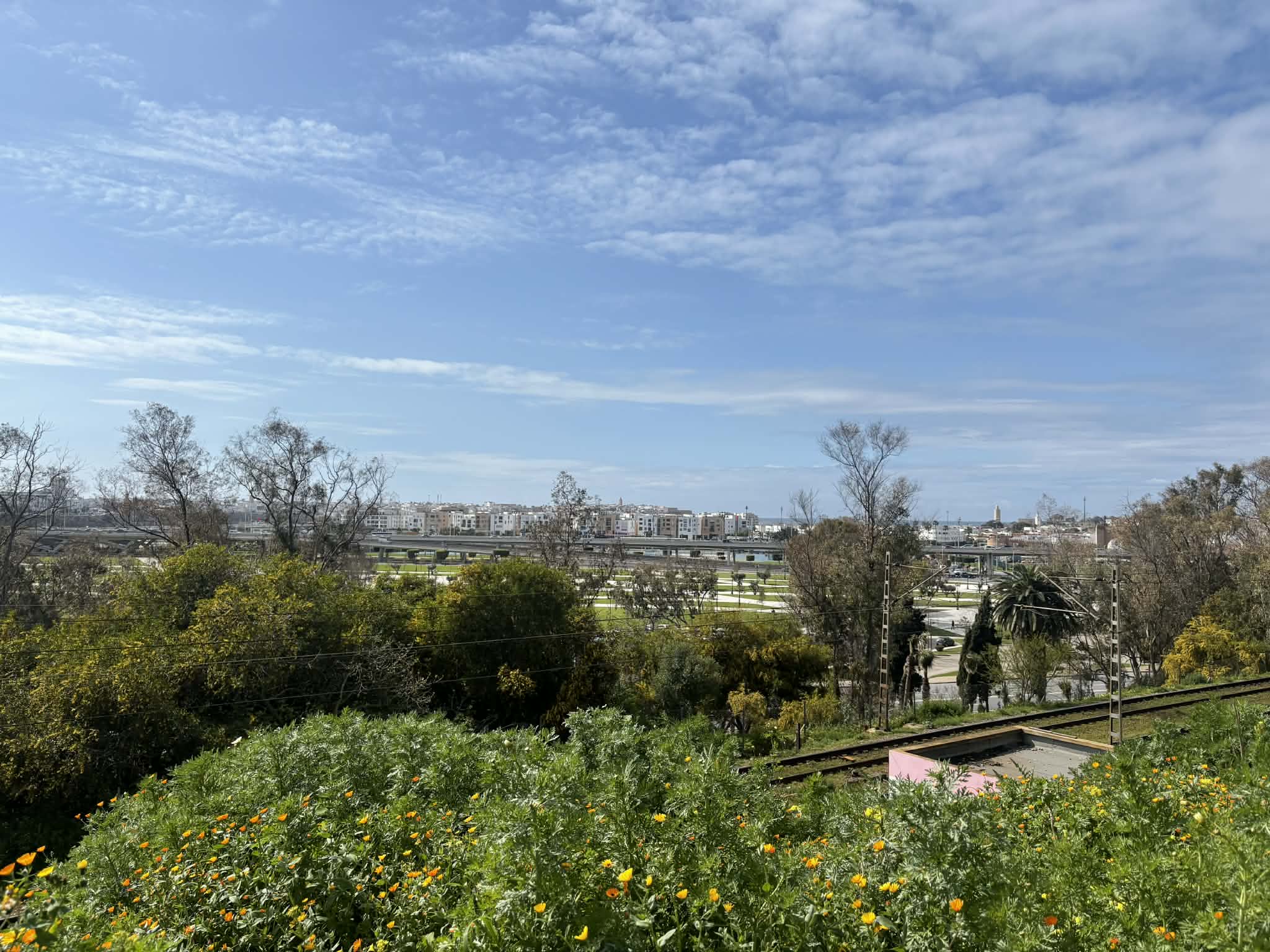 879b0104-d45e-4226-8dc2-e59983df65ac