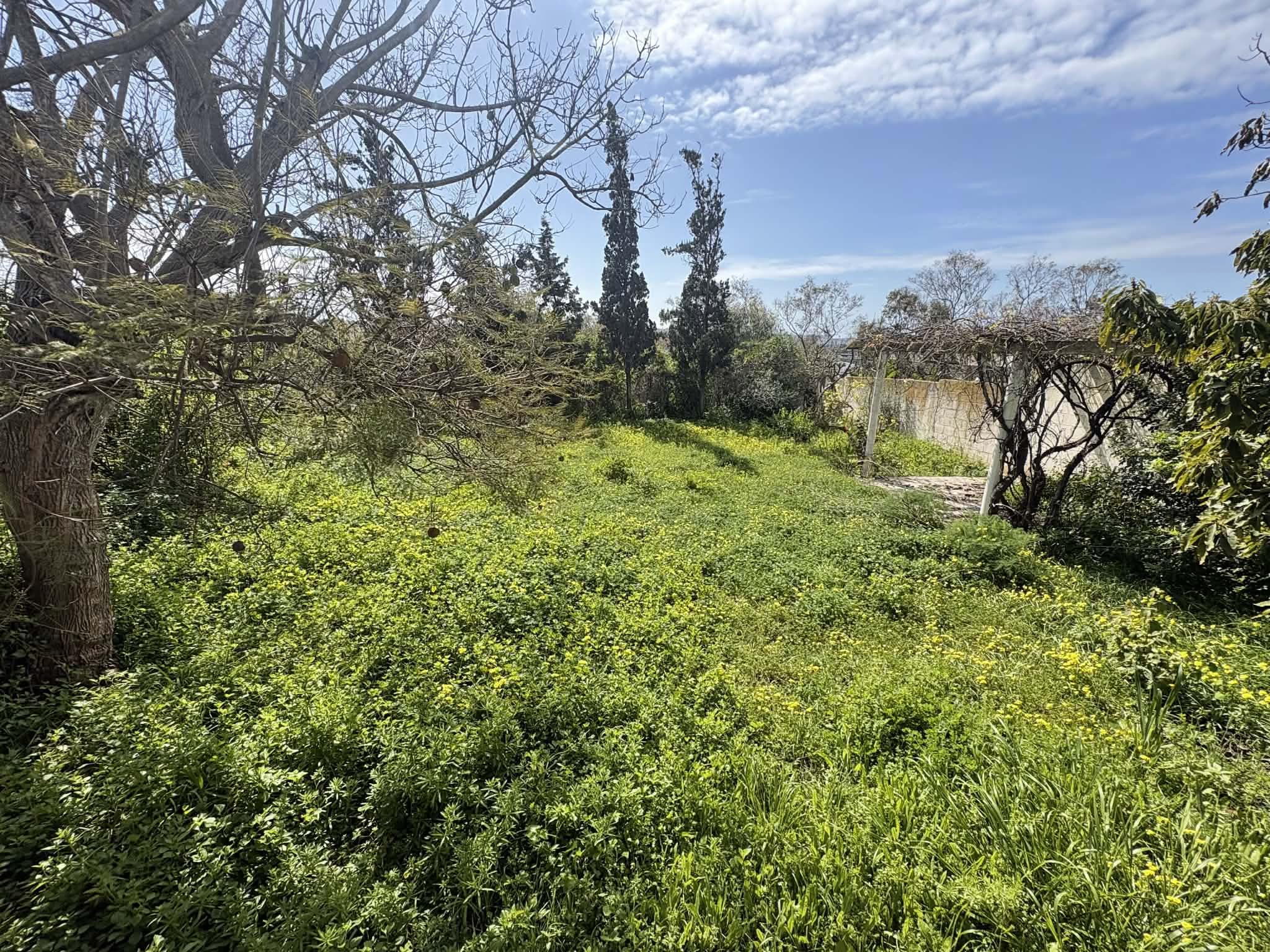 9c97fc20-f199-4af7-972b-c93a61e2b05e