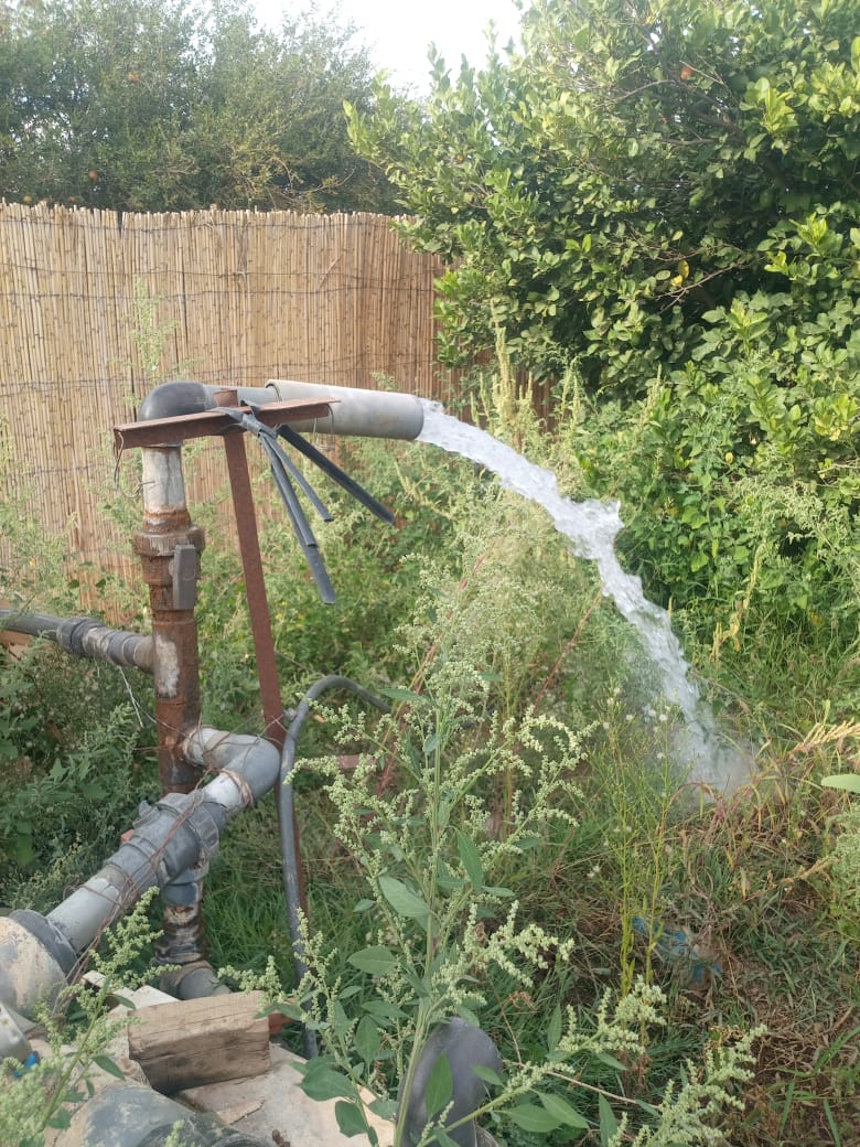 PHOTO FERME LAYOUNE2