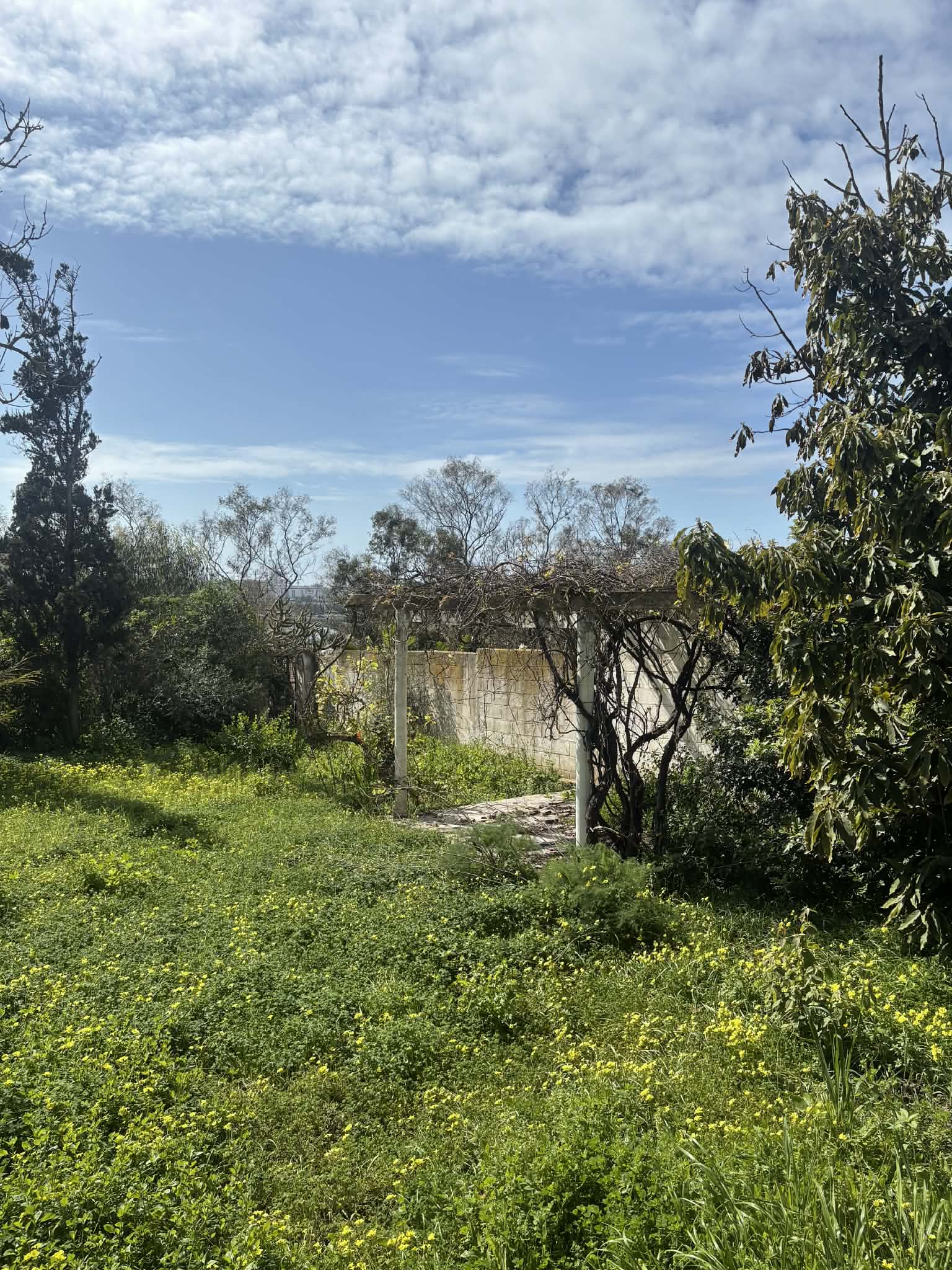 c187c151-e3f9-4d4e-bac0-e20fbd97b454