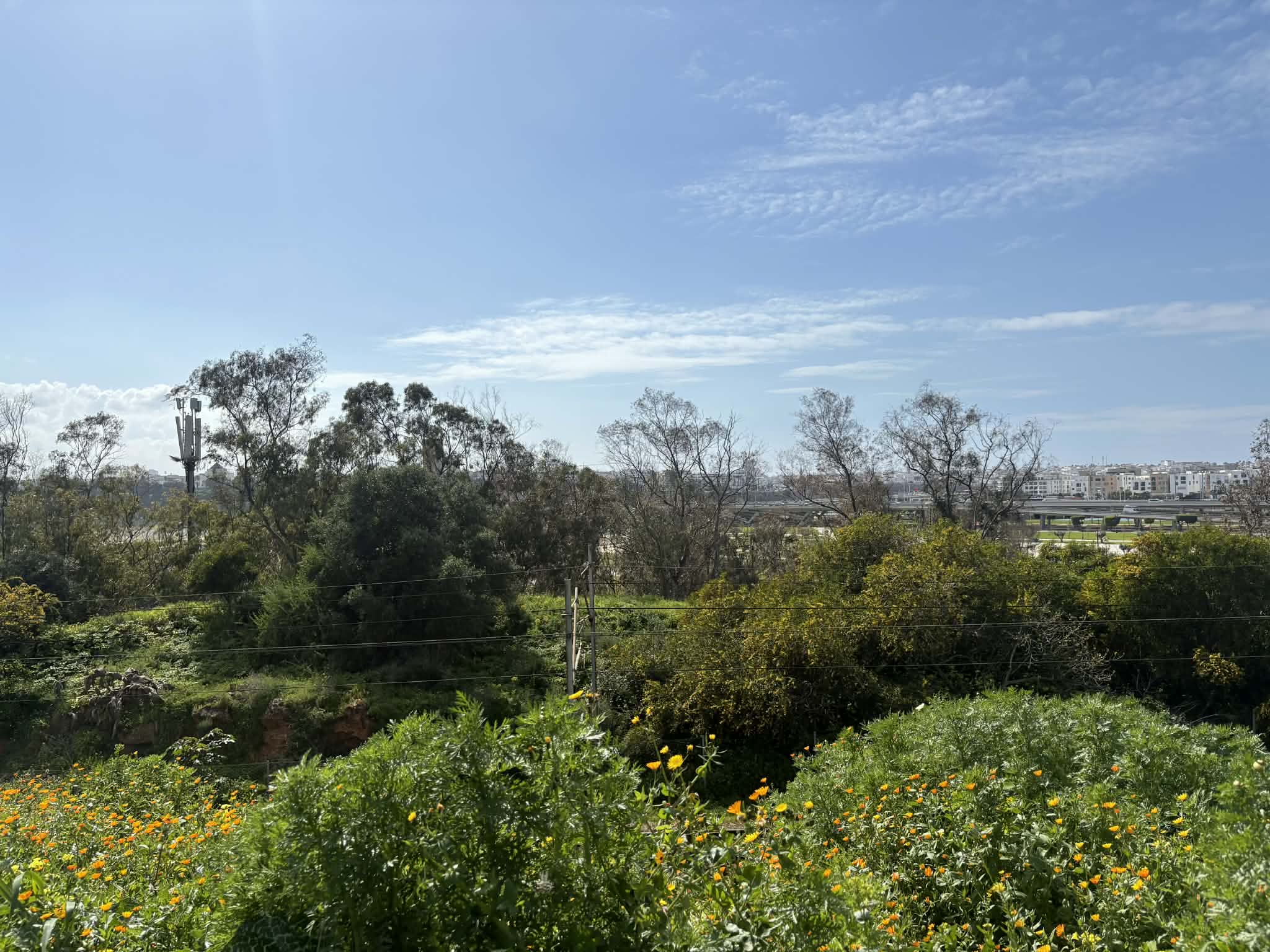 dc1797e3-4fcd-4a25-b37c-b8f9625f1298