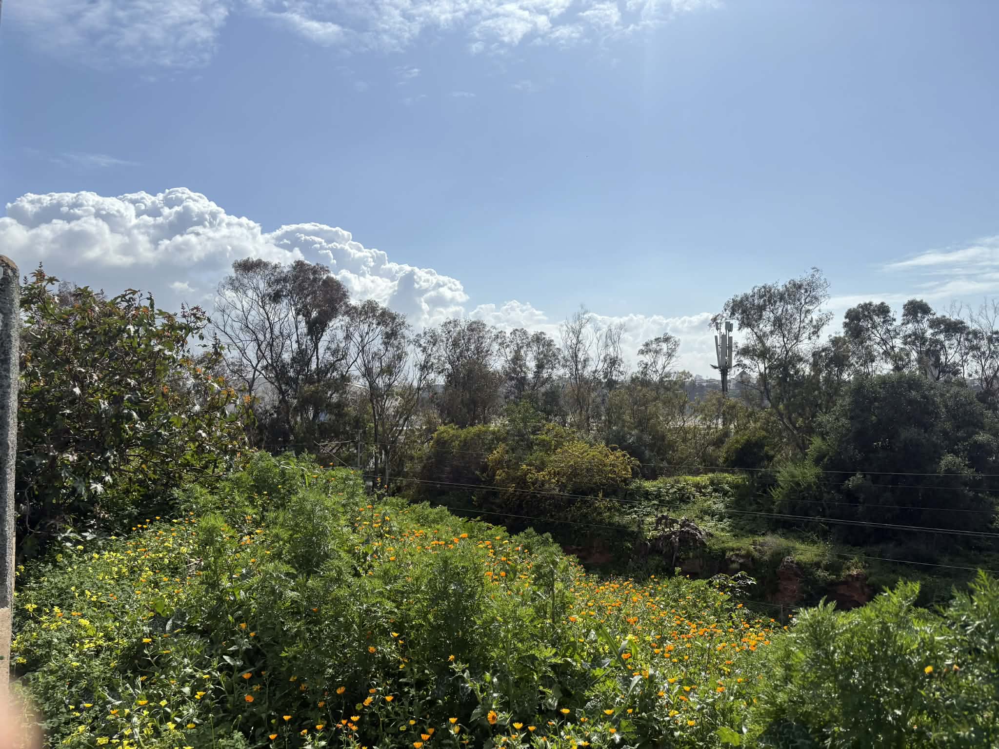 e24c00df-df51-4208-be29-d573121b2819